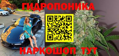 дмт Кинель